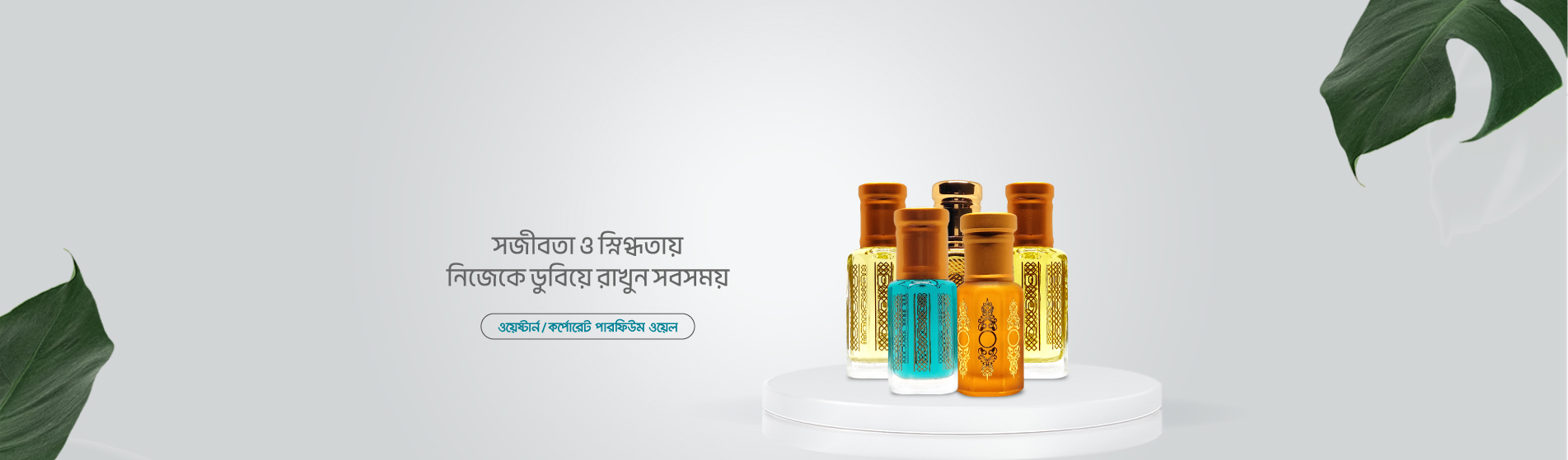 basna-web-slide-02-02